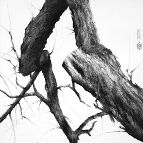 image of a tree drawing