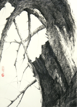 image of a tree drawing